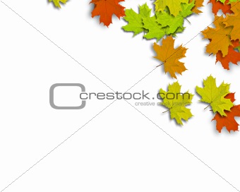 Autum Background