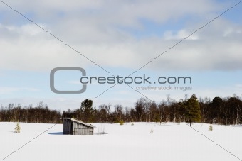 Frozen Lake Landscape
