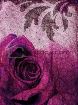 Grunge background with purple rose