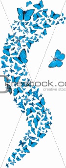 Blue butterflies swarm