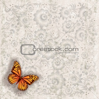 abstract grunge illustration with butterfly and flowers