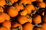 group of pumpkins
