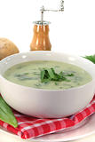 Wild garlic soup