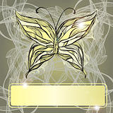 vector hand drawn beautiful butterfly, vintage style, frame 