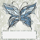 vector hand drawn beautiful butterfly, vintage style, frame