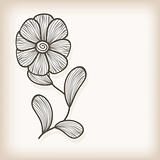 vector greeting card with flower