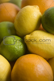 Selection Of Citrus Fruits
