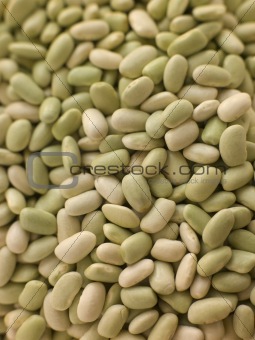 Flagelot Beans
