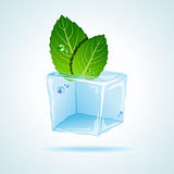 Mint in ice