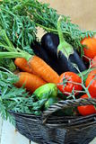 Mix fresh vegetables (carrots, eggplant, cucumbers, tomatoes) in a black wicker basket