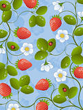 Floral background with strawberry