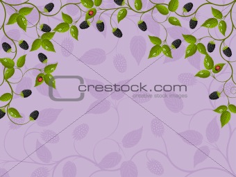 Floral background with blackberry