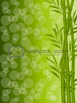 Abstract floral background with a bamboo