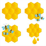 honeycombs with bees