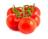 branch of tomatoes