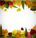 Autumn leafs abstract background