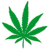 Marijuana green leaf