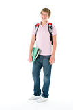 Portrait Of Teenage Schoolboy