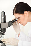 Scientist conducting an experiment looking through a microscope