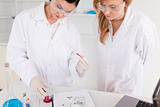 Two scientist women observing a test tube