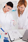 Two scientists conducting an experiment