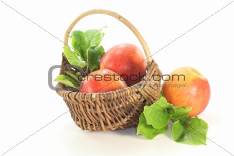 Apples with leaves