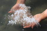 Hand holding salt crystals from salt lake above the water surface