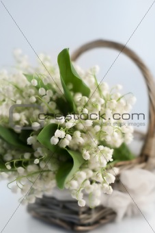 Basket with lilies of the valley 