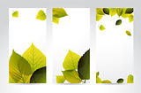 Fresh natural vertical banners with leafs