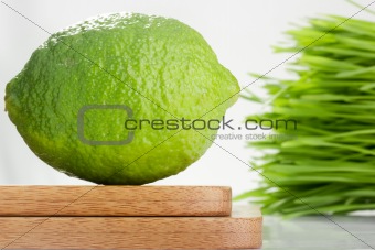 Lime and Wheatgrass