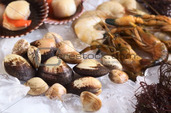 Mussels and Other Seafood on Ice