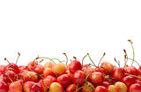 ripe cherry isolated on white