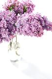 Bouquet of violet lilac