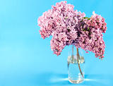 Bouquet of violet lilac