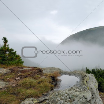 mist landscape in Carpathian mountains