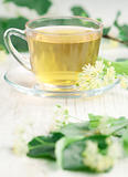 Cup of linden tea 