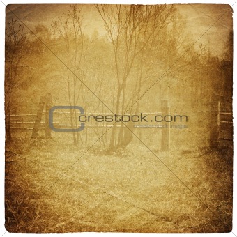 Vintage fence with gate