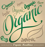 organic hand lettering set (vector)