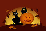 halloween pumpkin and black cat