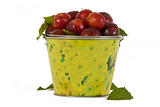 red plums in yellow bucket