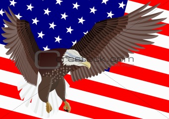 U.S. Flag and Eagle
