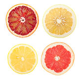 citrus slices 