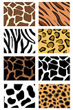 illustration of animal skin textures, background patterns