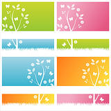 colorful floral backgrounds