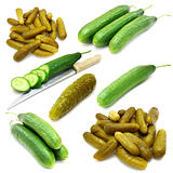 Collection of fresh, marinated  cucumbers
