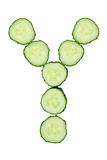 Vegetable Alphabet of chopped cucumber  - letter Y
