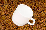 White cup and background of coffee beans