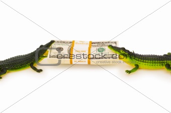 Two crocodiles fighting over dollars stack