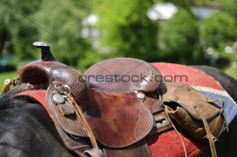 Horse saddle detail