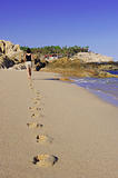 Woman leaving footprints on the beach